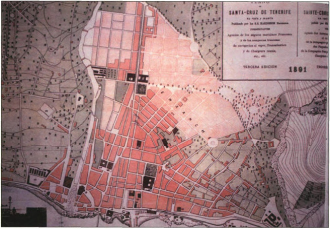 1891(elblancooliva.com)