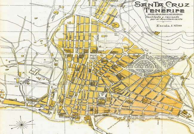 1920(elblancooliva.com)