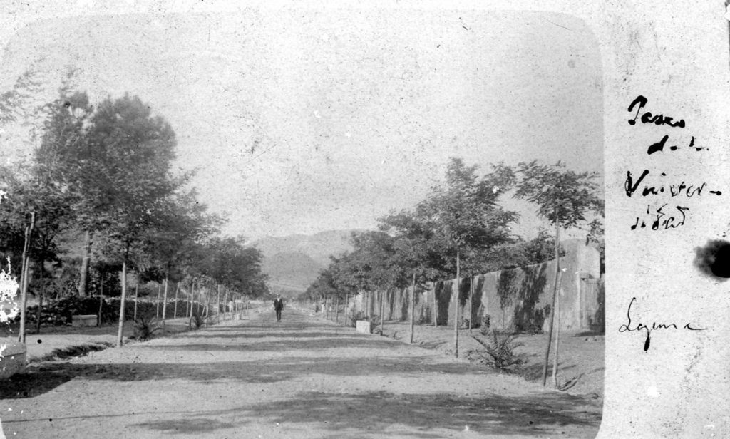 Caminolargo_diariodeavisos